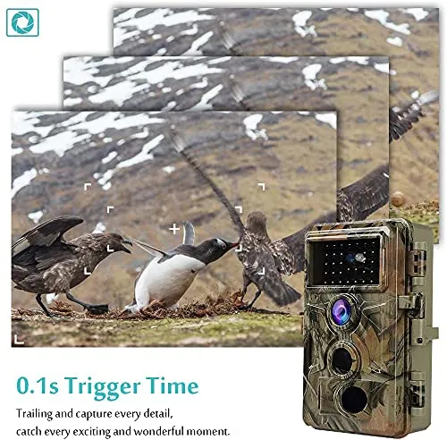 2-Pack No Glow Trail Game Deer Cameras Night Vision 24MP 1296P H.264 Video Motion Activated 0.1S Trigger Time Waterproof for Outdoor Wildlife Hunting and Home Security Surveillance Photo Video Model