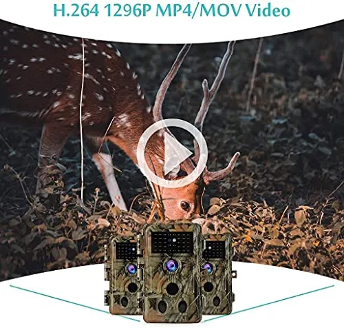 2-Pack No Glow Trail Game Deer Cameras Night Vision 24MP 1296P H.264 Video Motion Activated 0.1S Trigger Time Waterproof for Outdoor Wildlife Hunting and Home Security Surveillance Photo Video Model