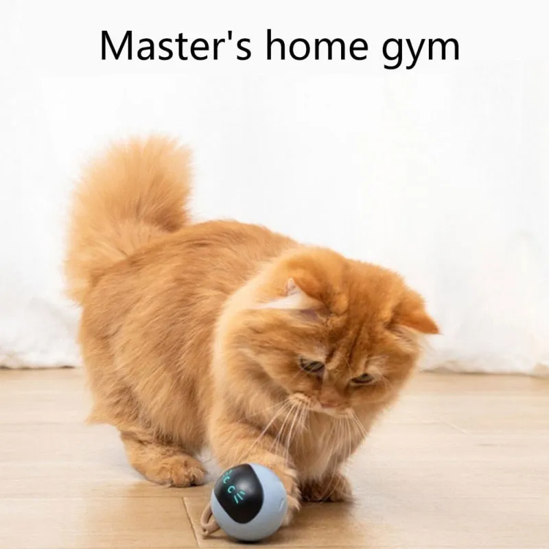 Automatic Smart Cat USB Interactive Electric Jumping Ball Self Rotating