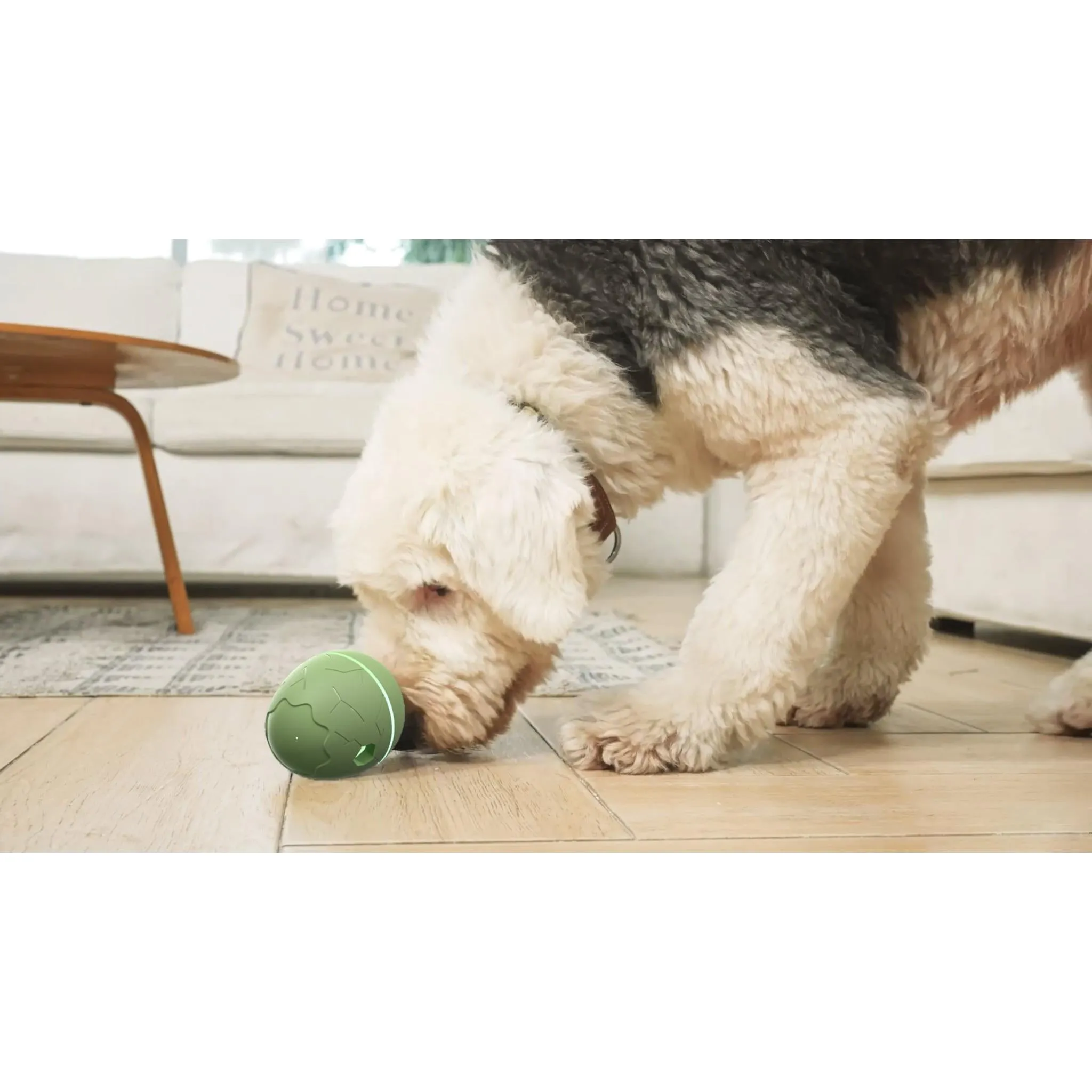 Cheerble Wicked Egg (Olive Green)