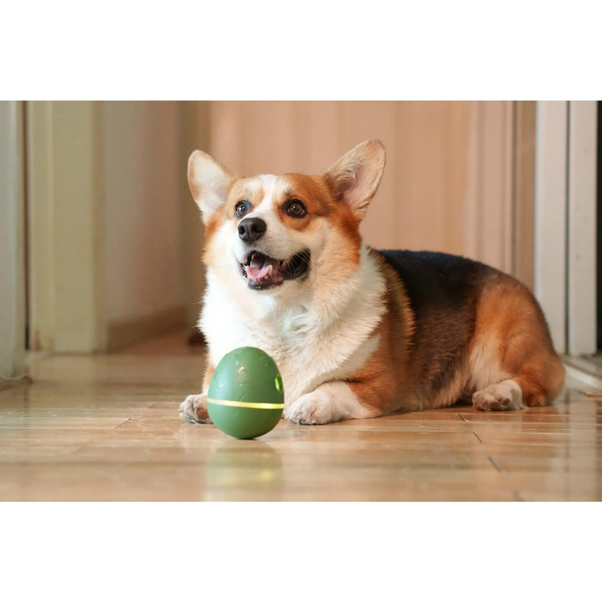 Cheerble Wicked Egg (Olive Green)
