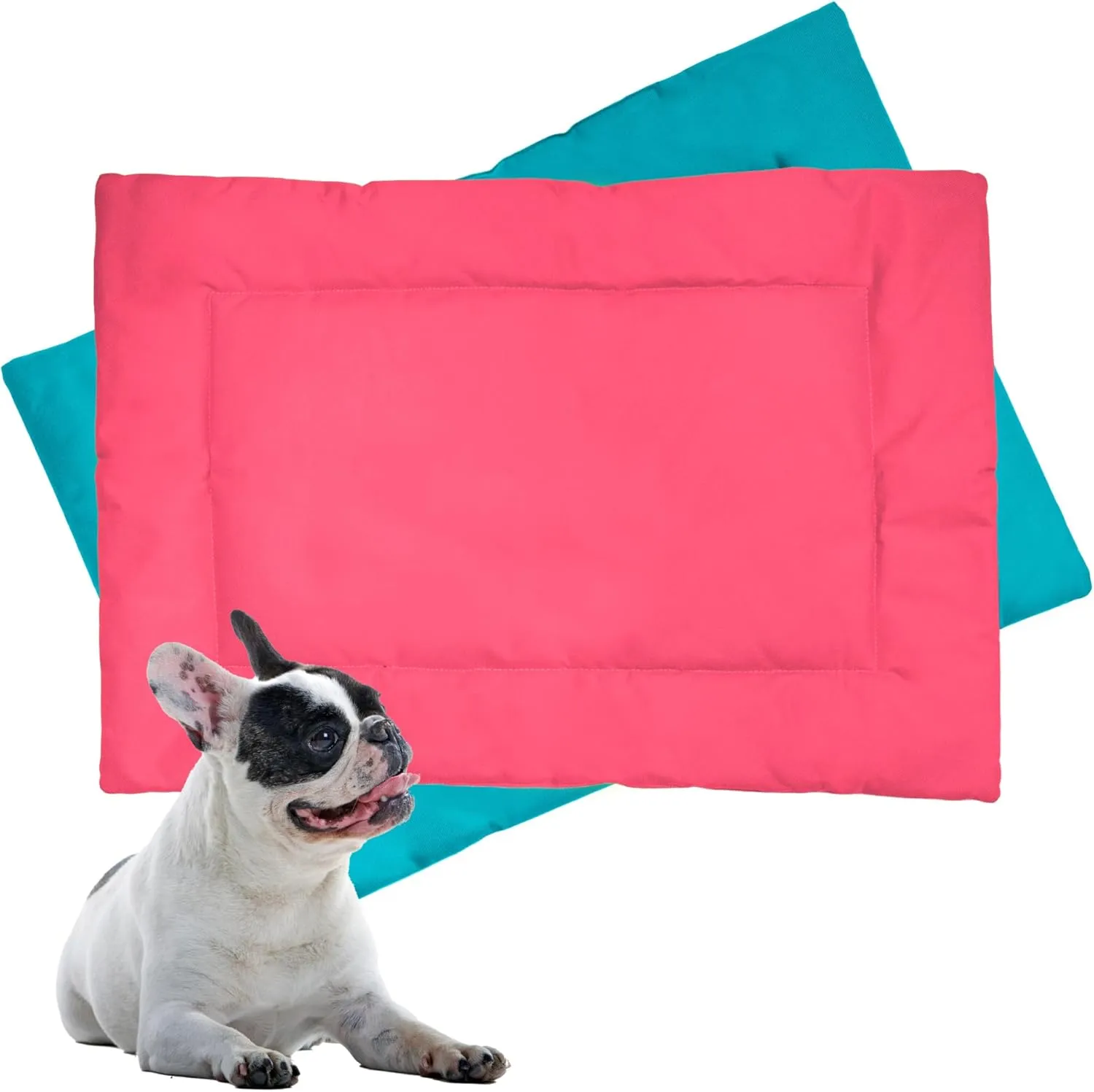 Downtown Pet Supply ,60.96  x 45.72  - ,,, -  - S 