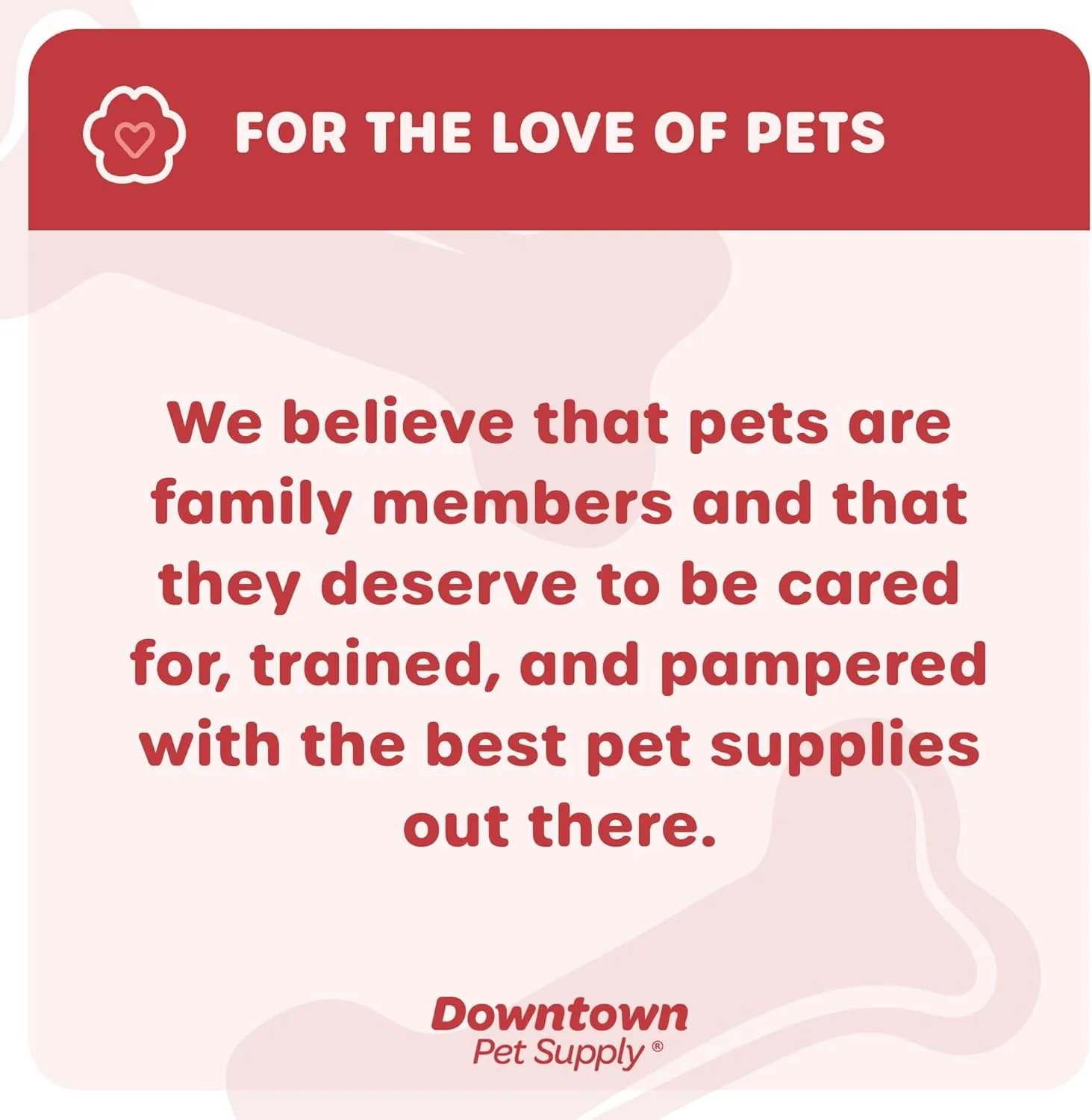 Downtown Pet Supply ,60.96  x 45.72  - ,,, -  - S 