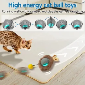 FelineFun LED Light & Bird Sound Rolling Ball