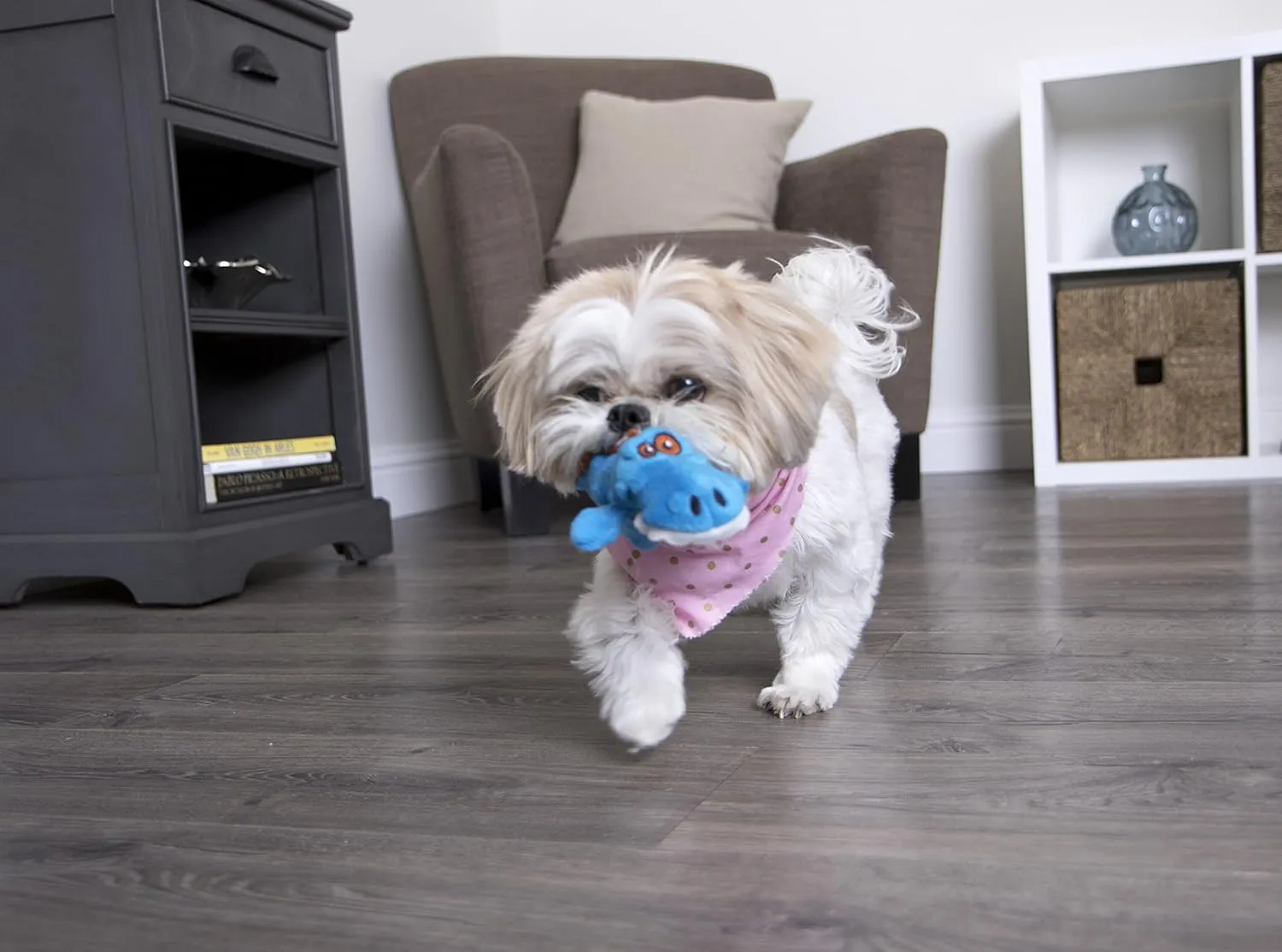 goDog Just For Me Gator Dog Toy, Blue