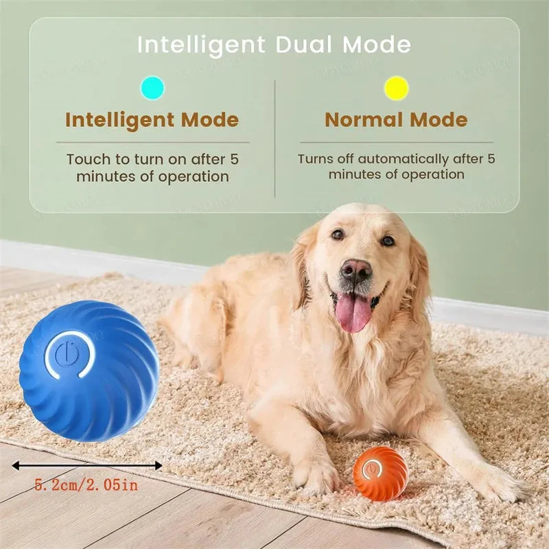 Interactive Dog Ball Toy