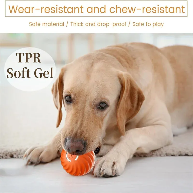 Interactive Dog Ball Toy