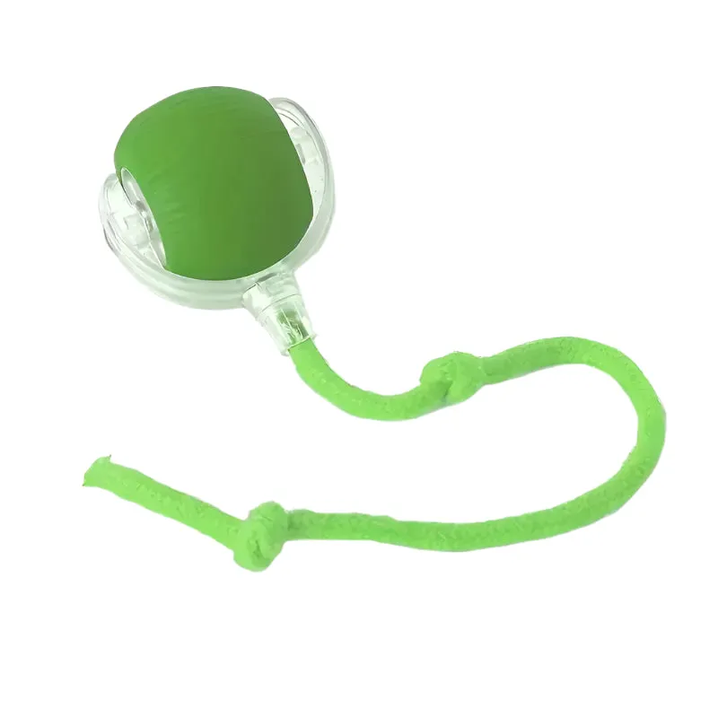 Interactive Dog Ball Toy