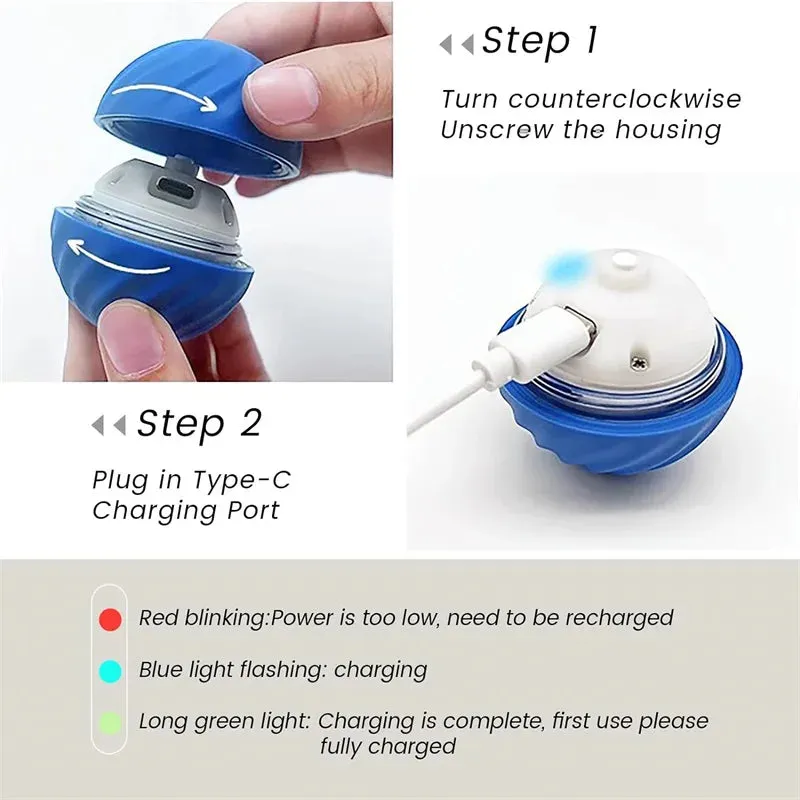 Interactive Dog Ball Toy