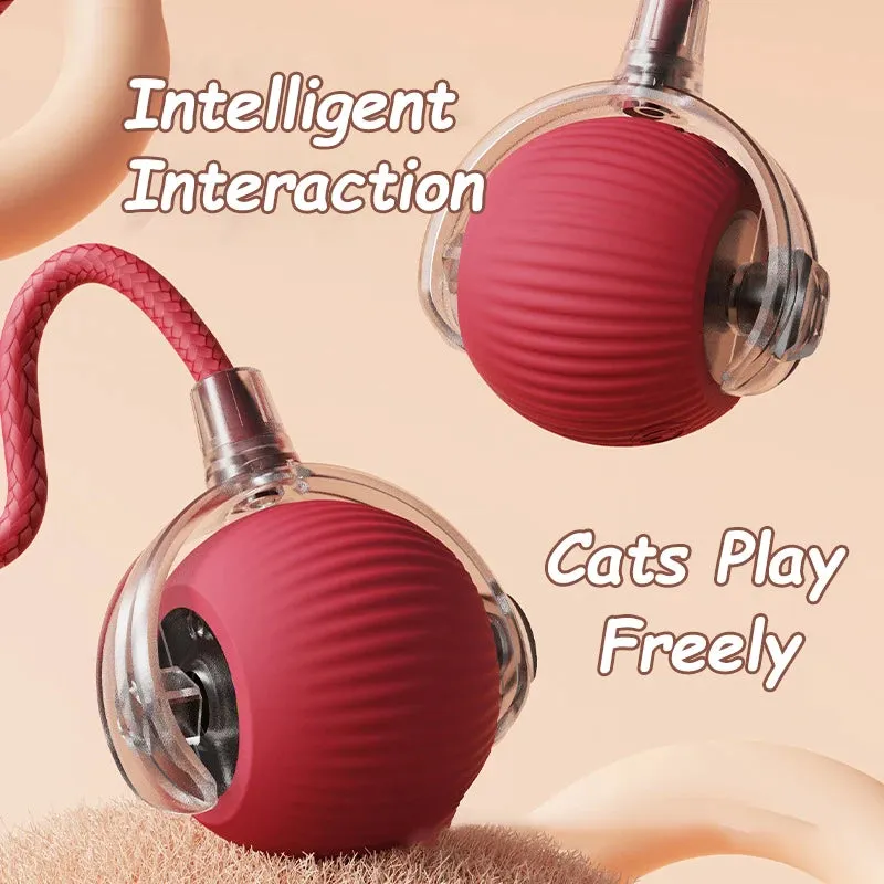 Interactive Rechargeable Cat Ball Toy