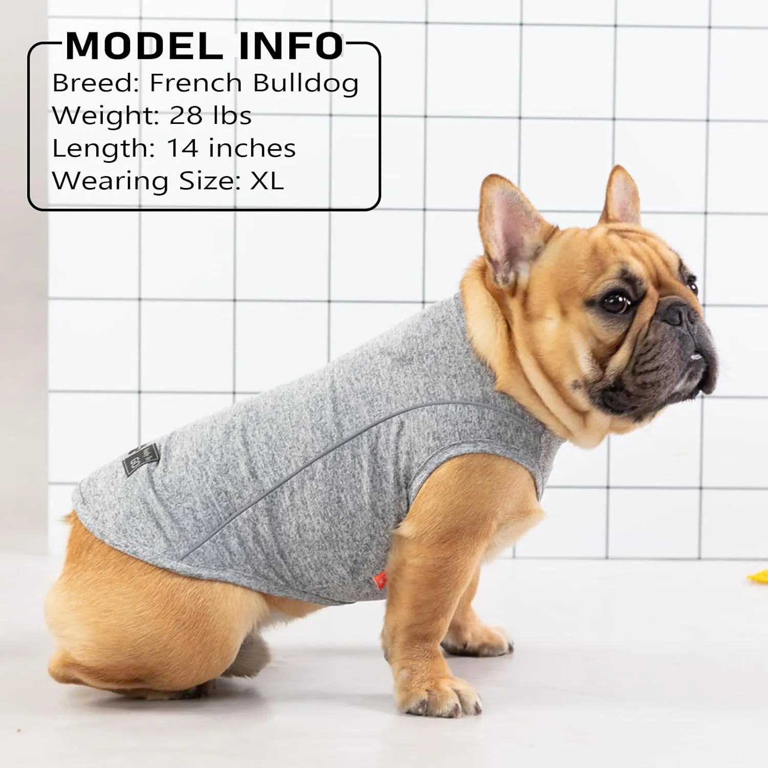 KYEESE Dogs Shirt for Small Dogs Quick Dry Soft Breathable Dog T-Shirt with Reflective Stripe Athletic Tank Top Lightweight Sleeveless Vest Dog Clothes