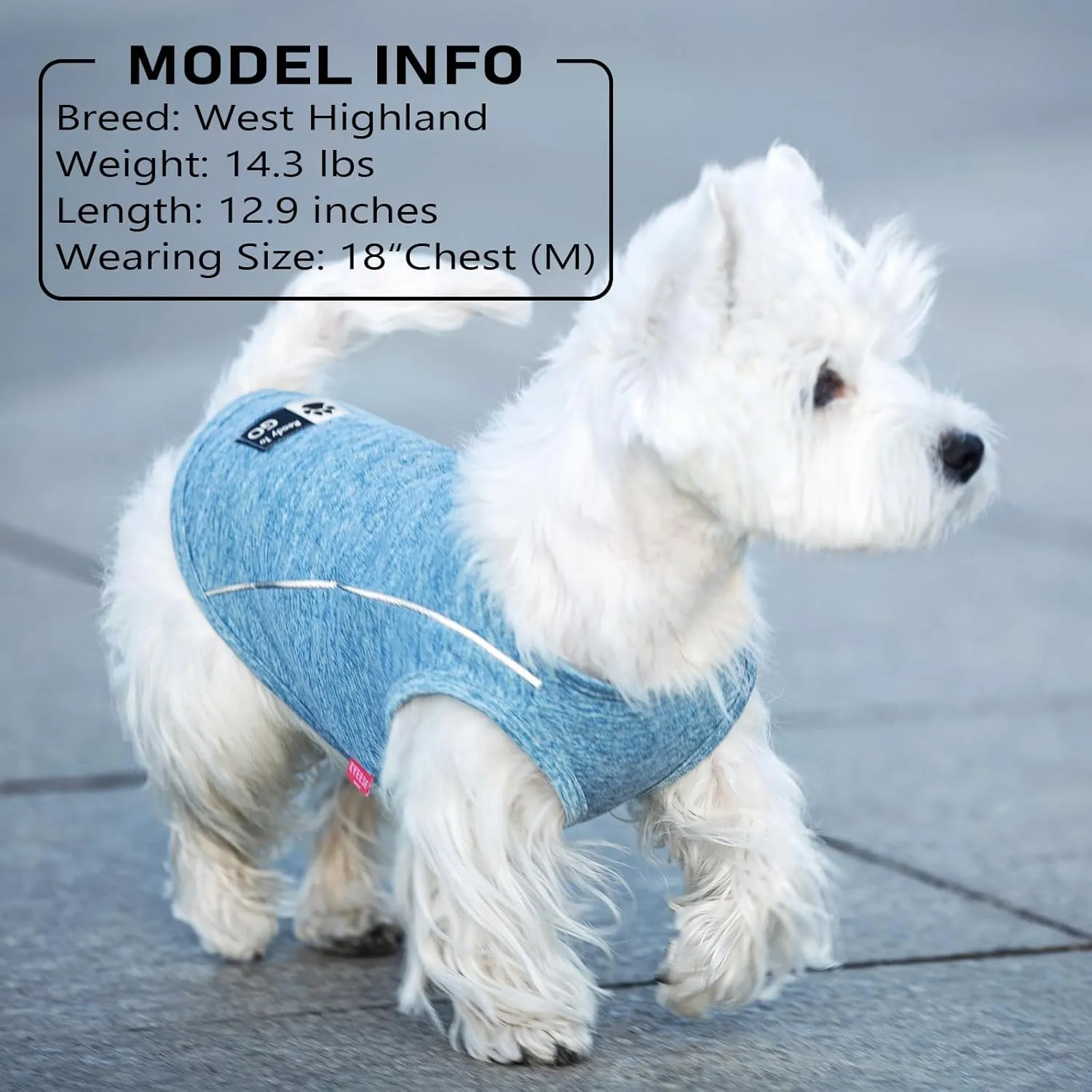 KYEESE Dogs Shirt for Small Dogs Quick Dry Soft Breathable Dog T-Shirt with Reflective Stripe Athletic Tank Top Lightweight Sleeveless Vest Dog Clothes