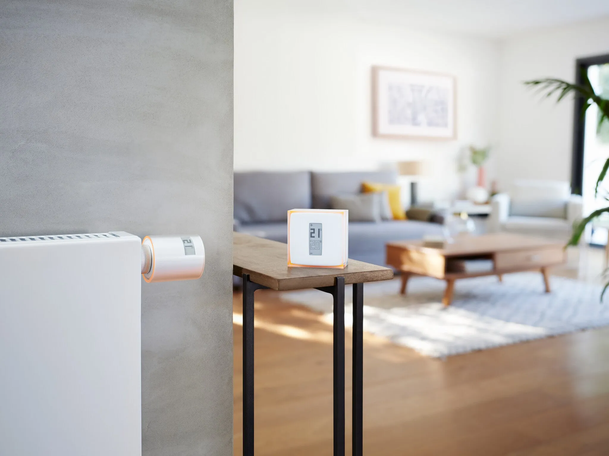 Netatmo Pack: Smart Thermostat   3 Additional Smart Radiator Valves