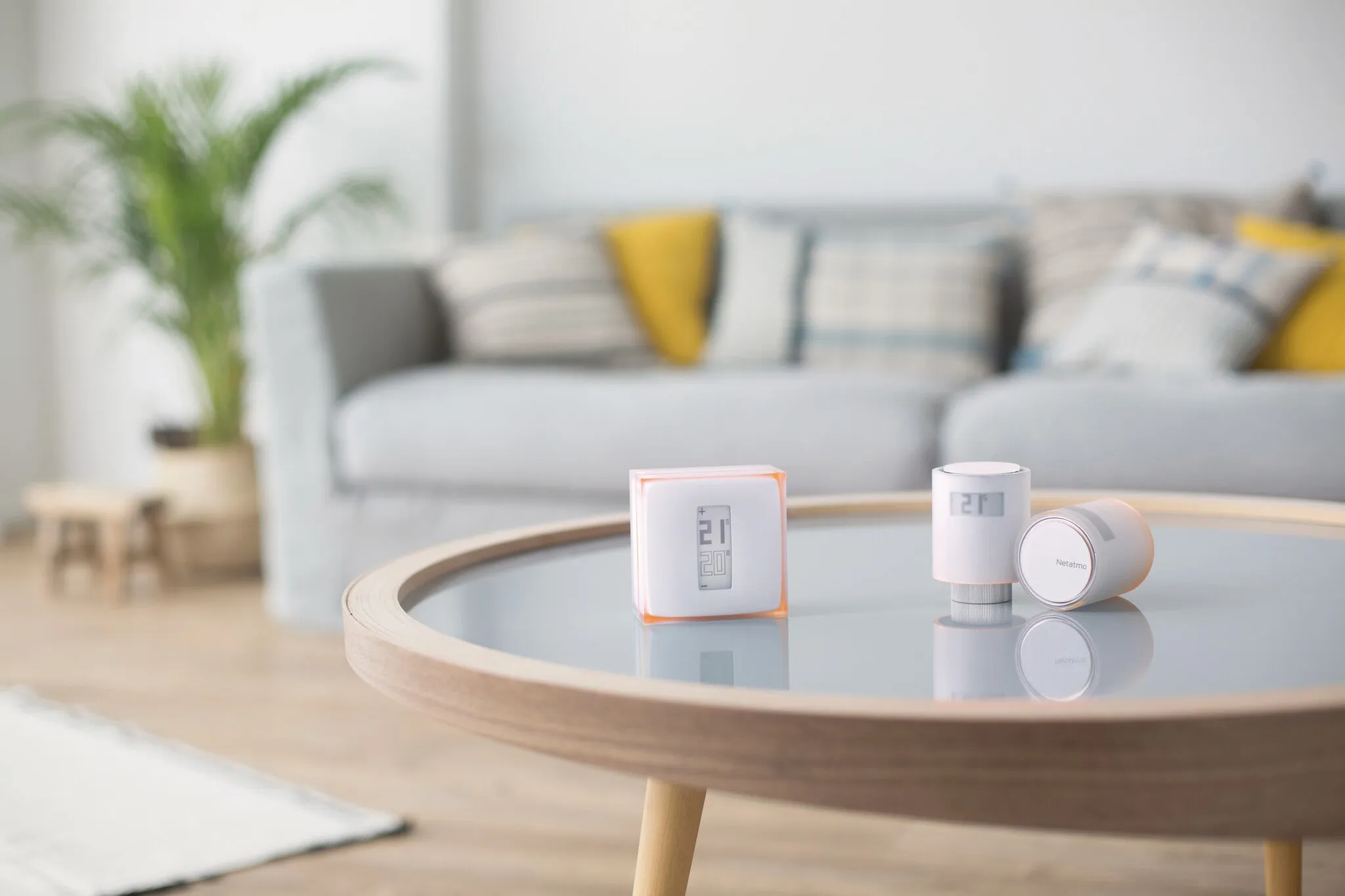 Netatmo Pack: Smart Thermostat   3 Additional Smart Radiator Valves