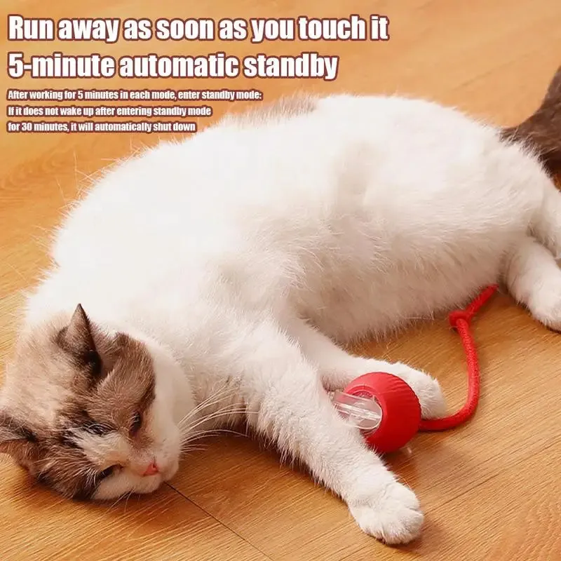 nteractive Cat Ball Toy with Obstacle Avoidance