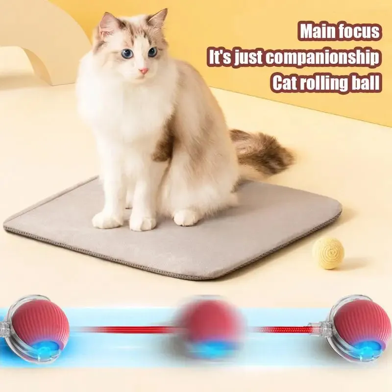 nteractive Cat Ball Toy with Obstacle Avoidance