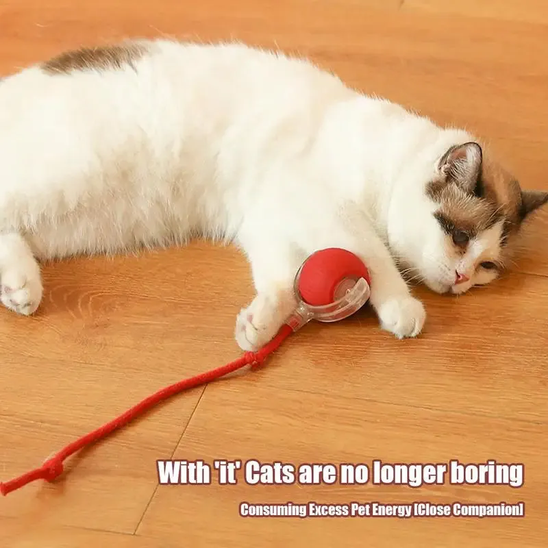 nteractive Cat Ball Toy with Obstacle Avoidance
