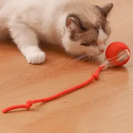 nteractive Cat Ball Toy with Obstacle Avoidance
