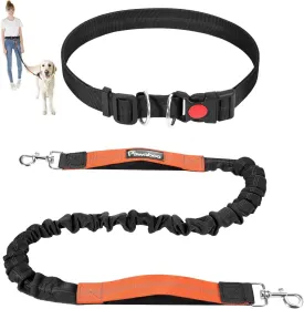 Pawaboo Hands Free Dog Leash with Waist Belt, A Great Waist Leash for Dog Walking, Double Handle Bungee Leash with Reflective Stitching & Adjustable Dog Walking Belt for Walking Hiking Running, Black