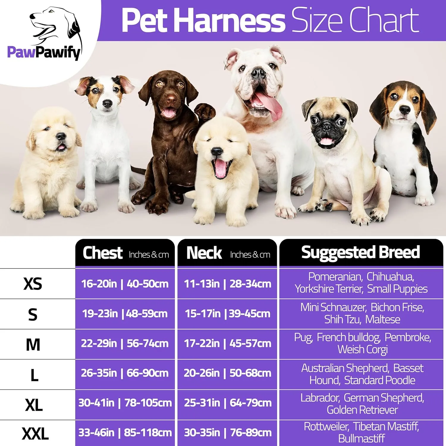 PawPawify Personalized No Pull Dog Harness with Custom Name and Phone Number,Heavy Duty Pet Vest to Prevent Tugging,Pulling,or Choking,Training and Walking,Purple,L Chest 28-38in