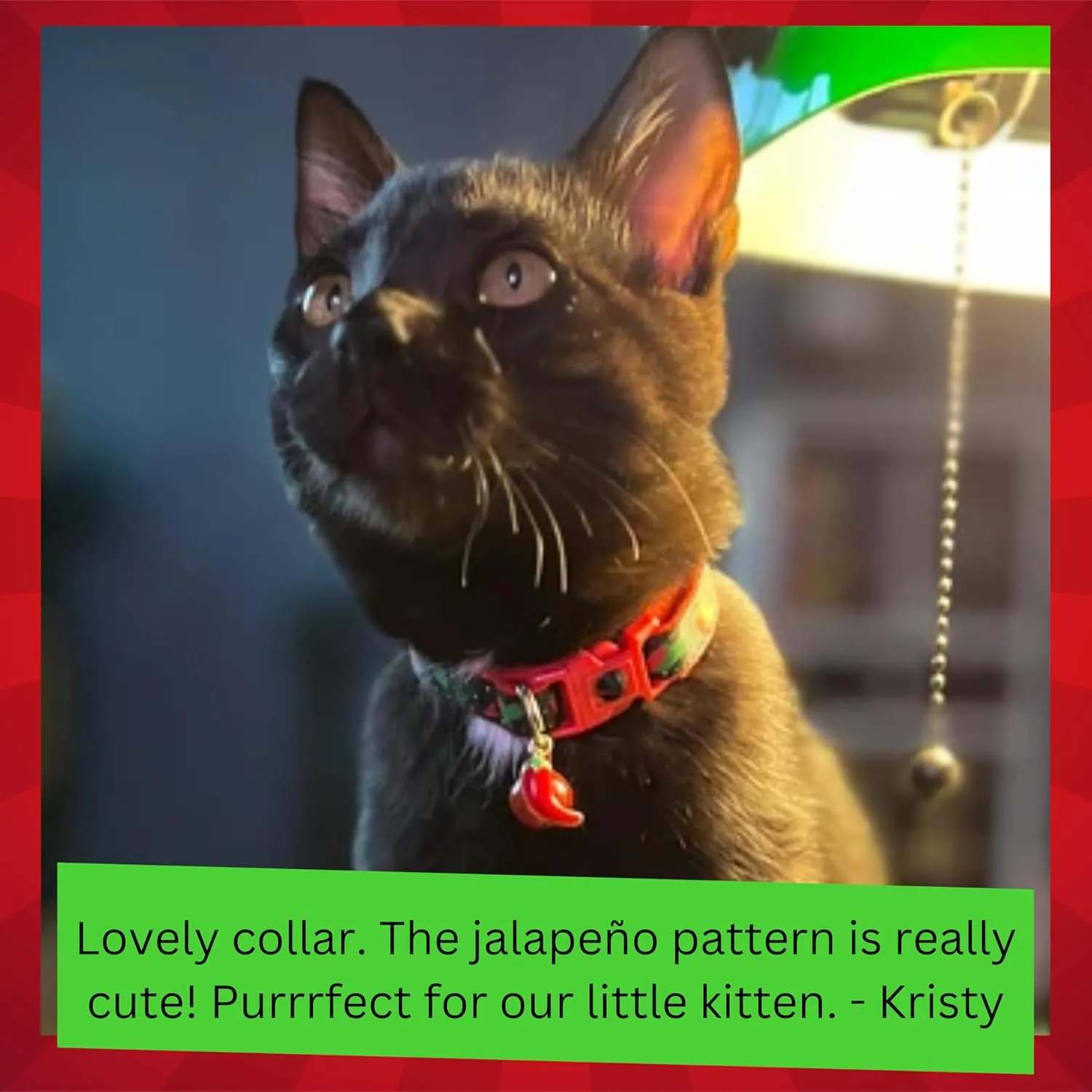 Pepper Cat Collar - Safety - Breakaway - Charm and Bell - Pugs2Persians (Large(10lbs & Up), Green)