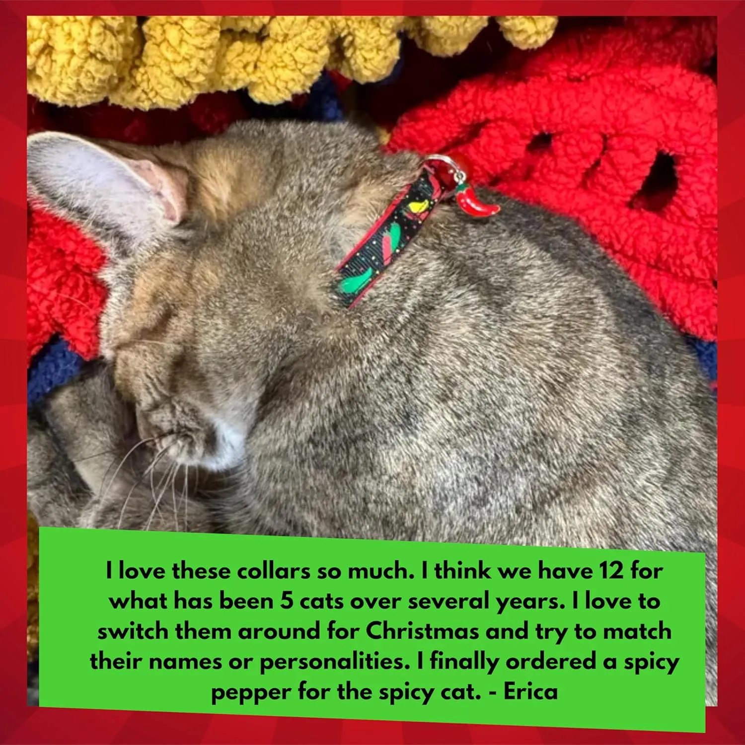 Pepper Cat Collar - Safety - Breakaway - Charm and Bell - Pugs2Persians (Large(10lbs & Up), Green)