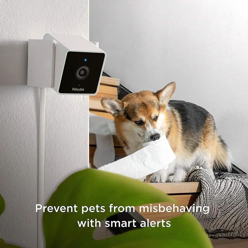 Petcube Pet Camera (White)/1080p HD video with 30-feet night vision