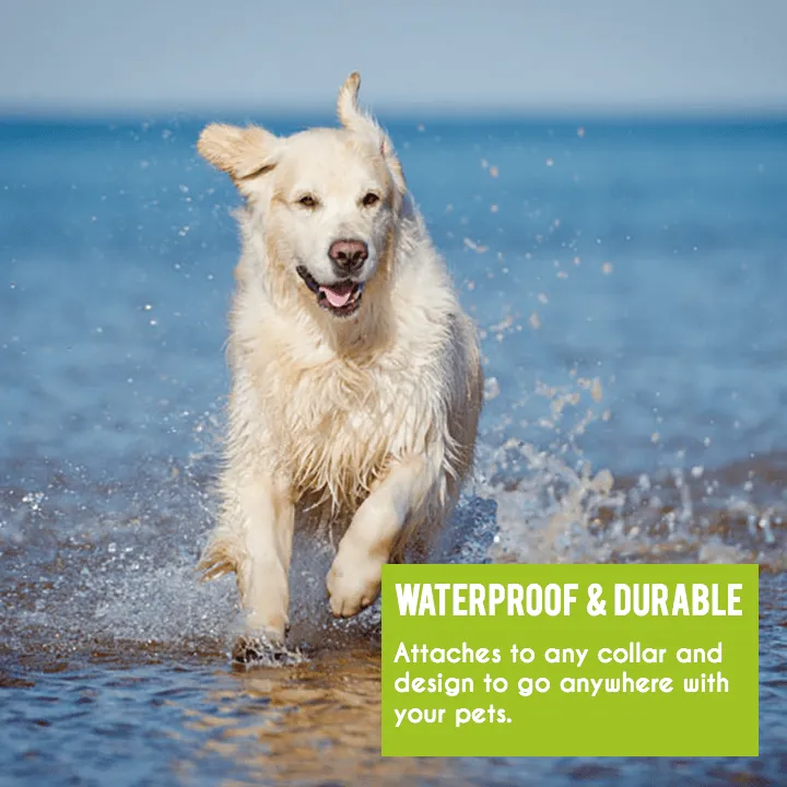 Pets GPS Tracker & Activity Monitor