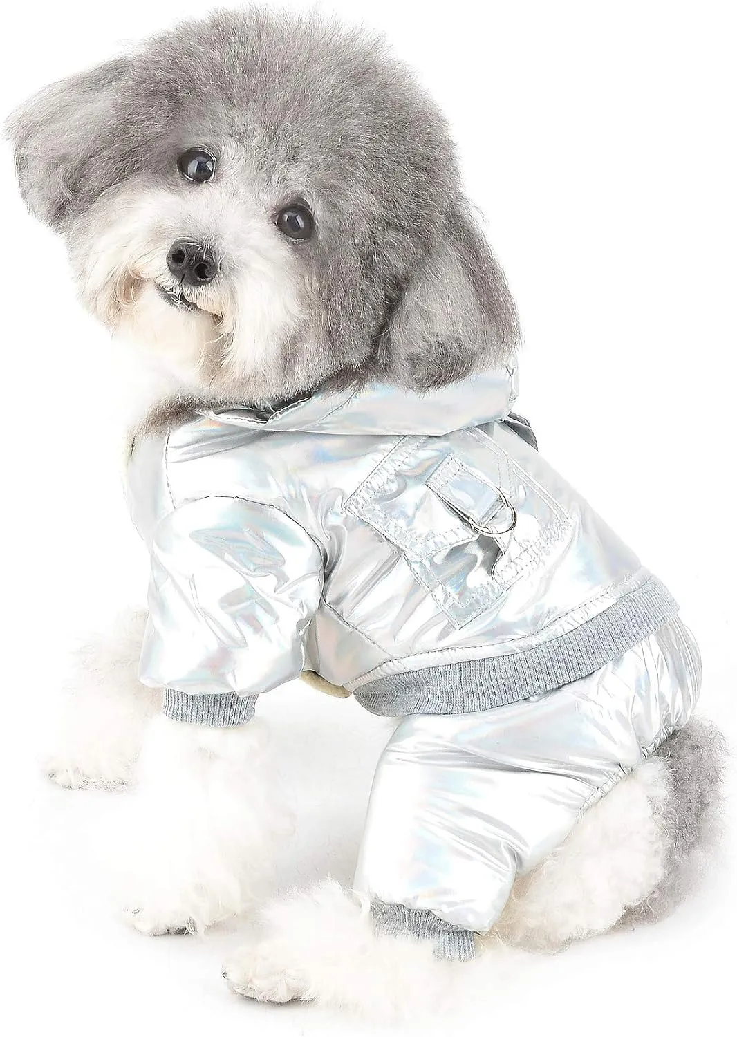 Ranphy Waterproof Pet Clothes Winter Small Dog Coat Puppy Hoodie with Leash Ring Super Soft Fleece Lined Jumpsuit Thicken Warm Padded Cold Weather Outdoor Apparel Snowsuit Snow Jacket Silver L