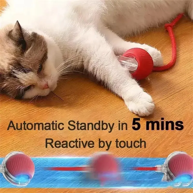 Rechargeable Interactive Dog & Cat Toy – Electric Rolling Ball with Fake Tail