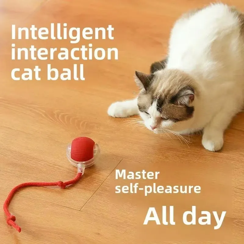 Rechargeable Interactive Dog & Cat Toy – Electric Rolling Ball with Fake Tail