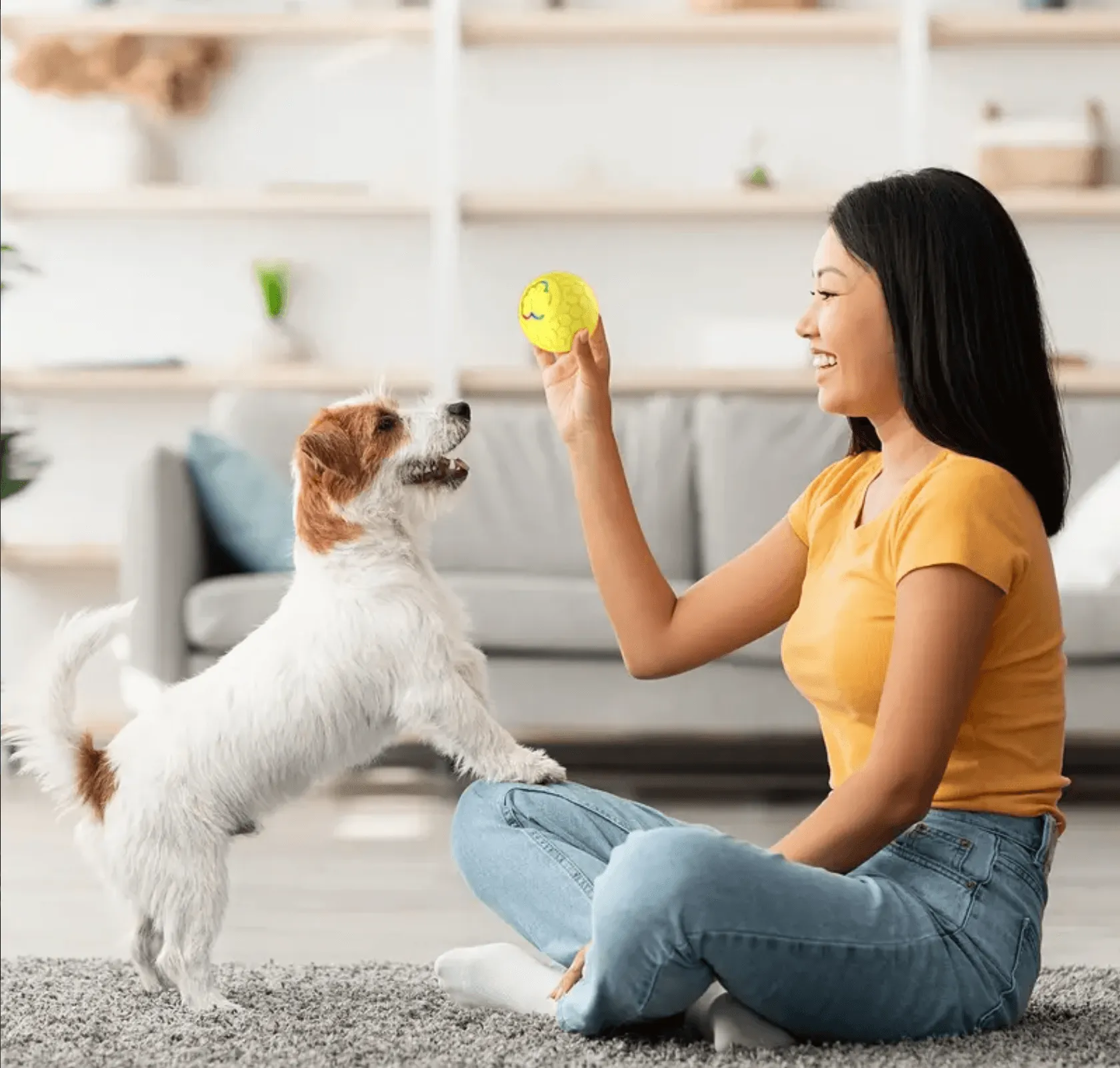 SMARTROLL AUTOMATIC DOG BALL