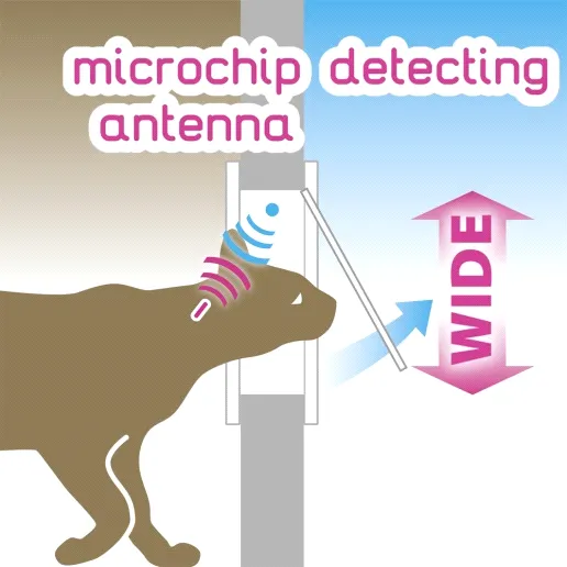 SWING MICROCHIP LARGE