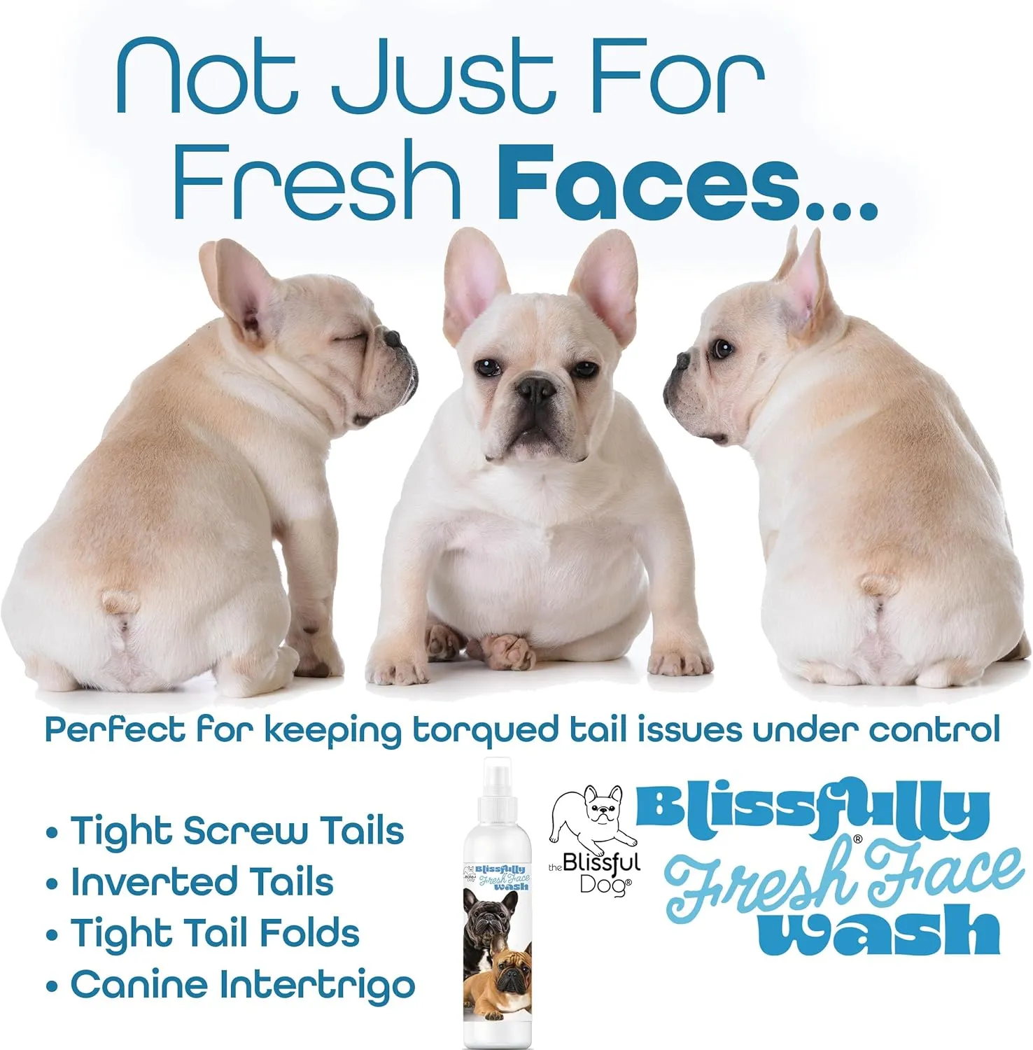 The Blissful Dog Blissfully Fresh Face Wash - Cleans Facial Folds and Wrinkles, 4-Ounce, French Bulldog