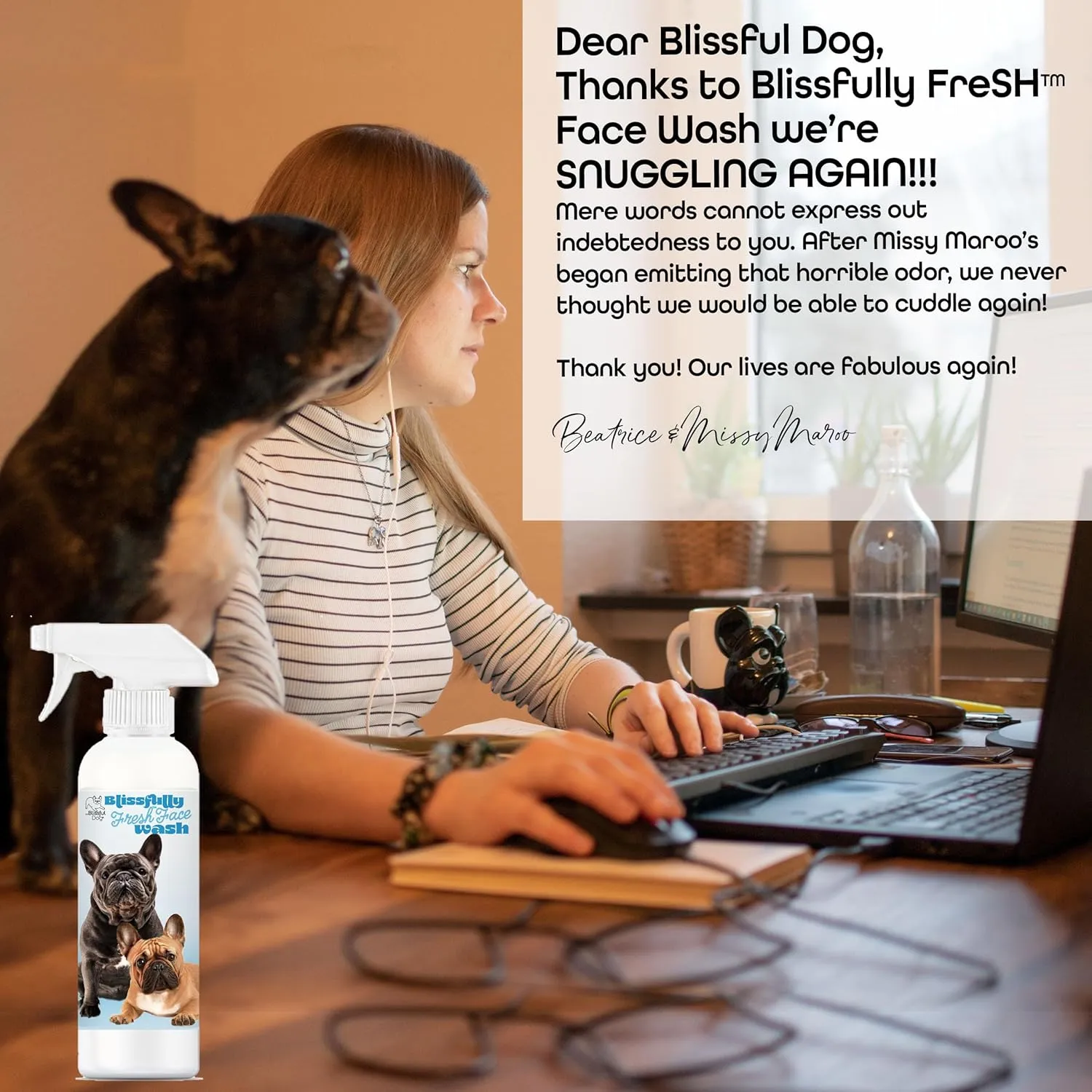 The Blissful Dog Blissfully Fresh Face Wash - Cleans Facial Folds and Wrinkles, 4-Ounce, French Bulldog
