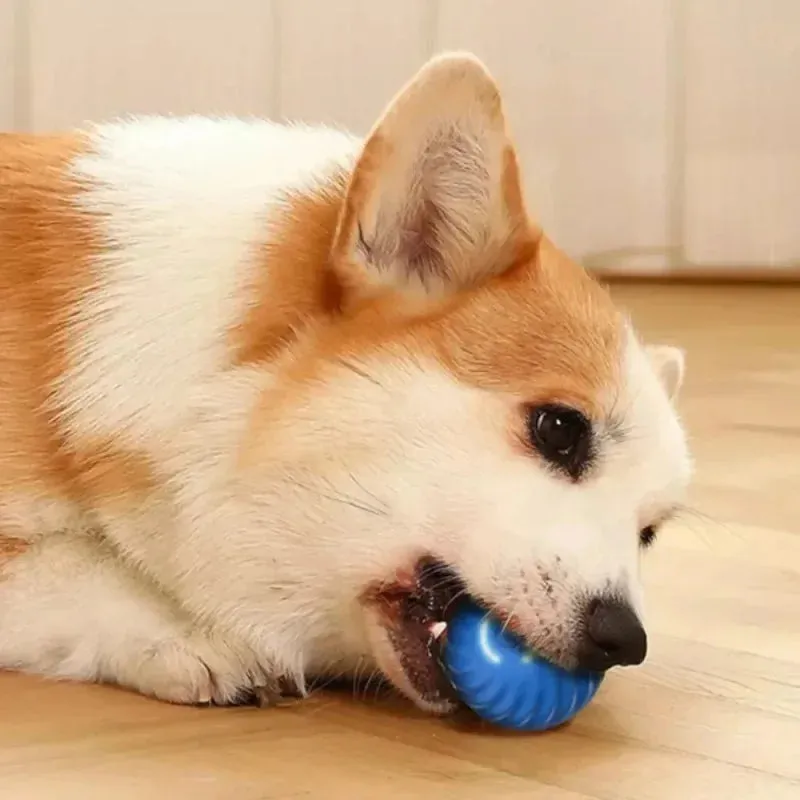 USB Smart Dog Toy Ball – Automatic Moving Bouncing Rolling Interactive Chew Toy