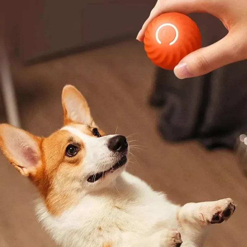 USB Smart Dog Toy Ball – Automatic Moving Bouncing Rolling Interactive Chew Toy