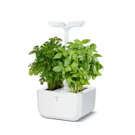 Veritable Exky Classic Edition Indoor Garden Arctic White