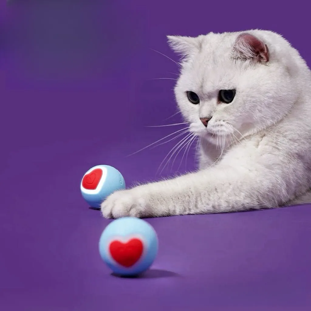 ZEZE Pet Smart Rolling Ball