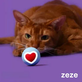 ZEZE Pet Smart Rolling Ball